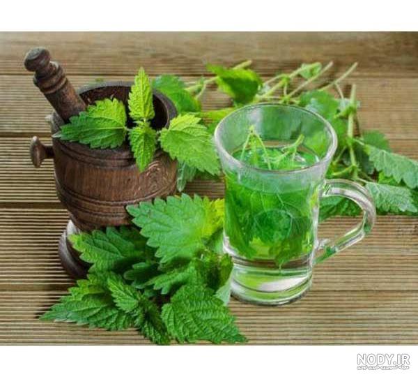 prnody-عکس-عرق-نعناع-1668767108.jpg
